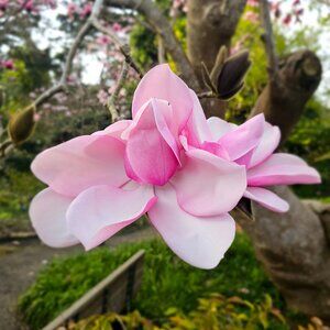 Meet your Posher, Jackie